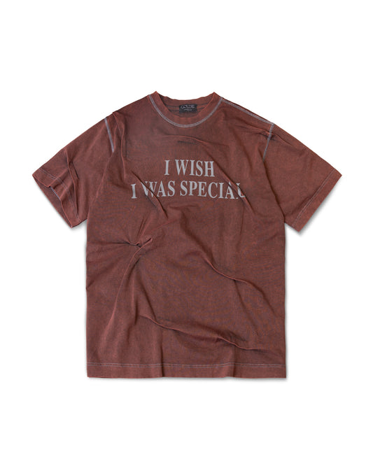brown-iwiws-washed-tshirt goldie astoud