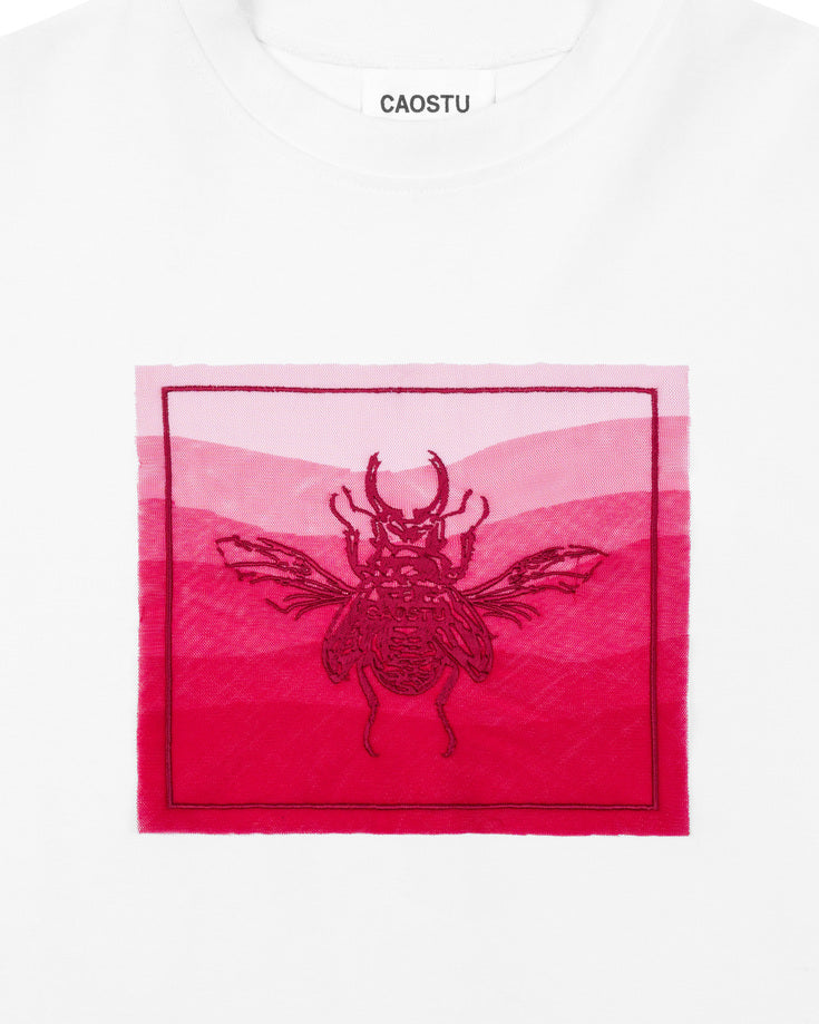 The Beetle Ombre Tee Caotus Astoud