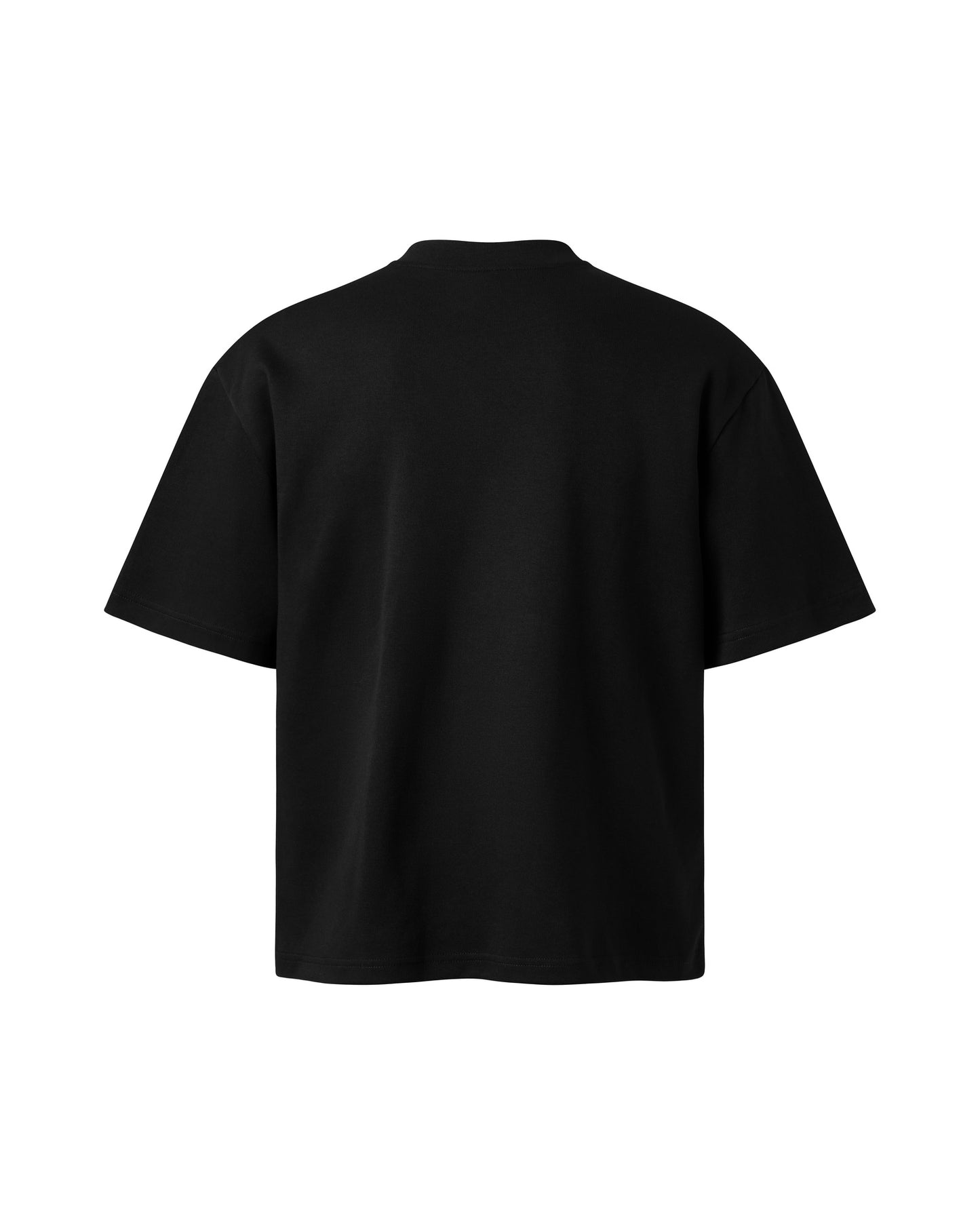The Beetle Ombre Tee Caotus Astoud