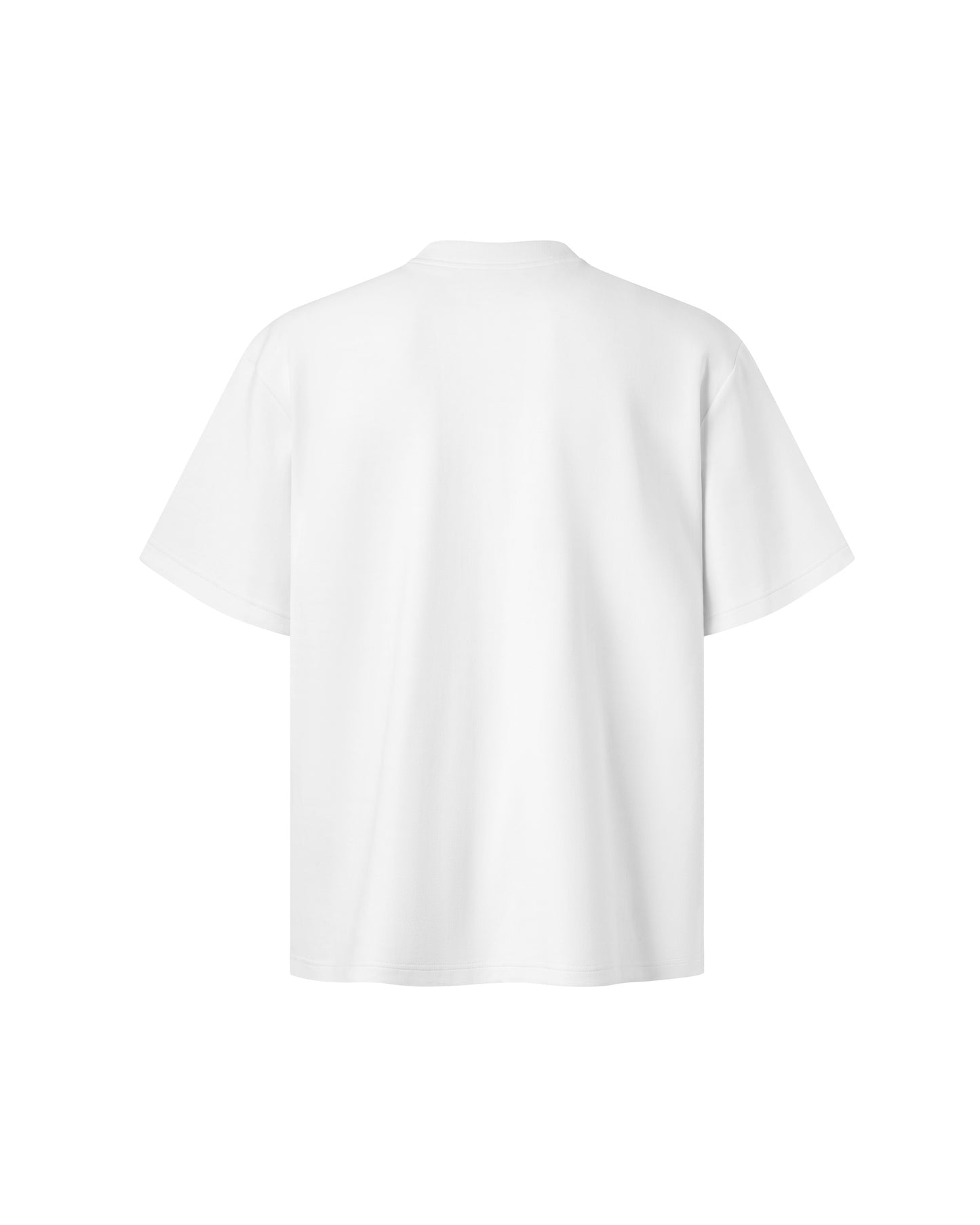 The Beetle Ombre Tee Caotus Astoud