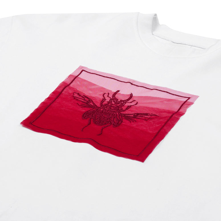 The Beetle Ombre Tee Caotus Astoud