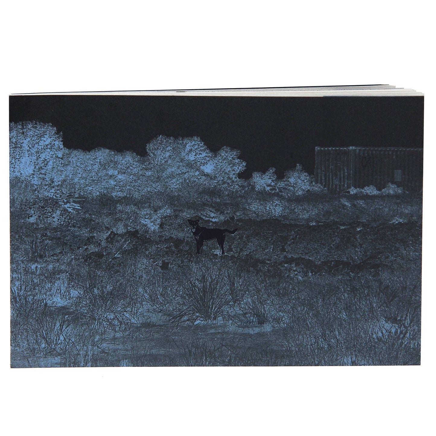 CON CHÓ PHOTOBOOK