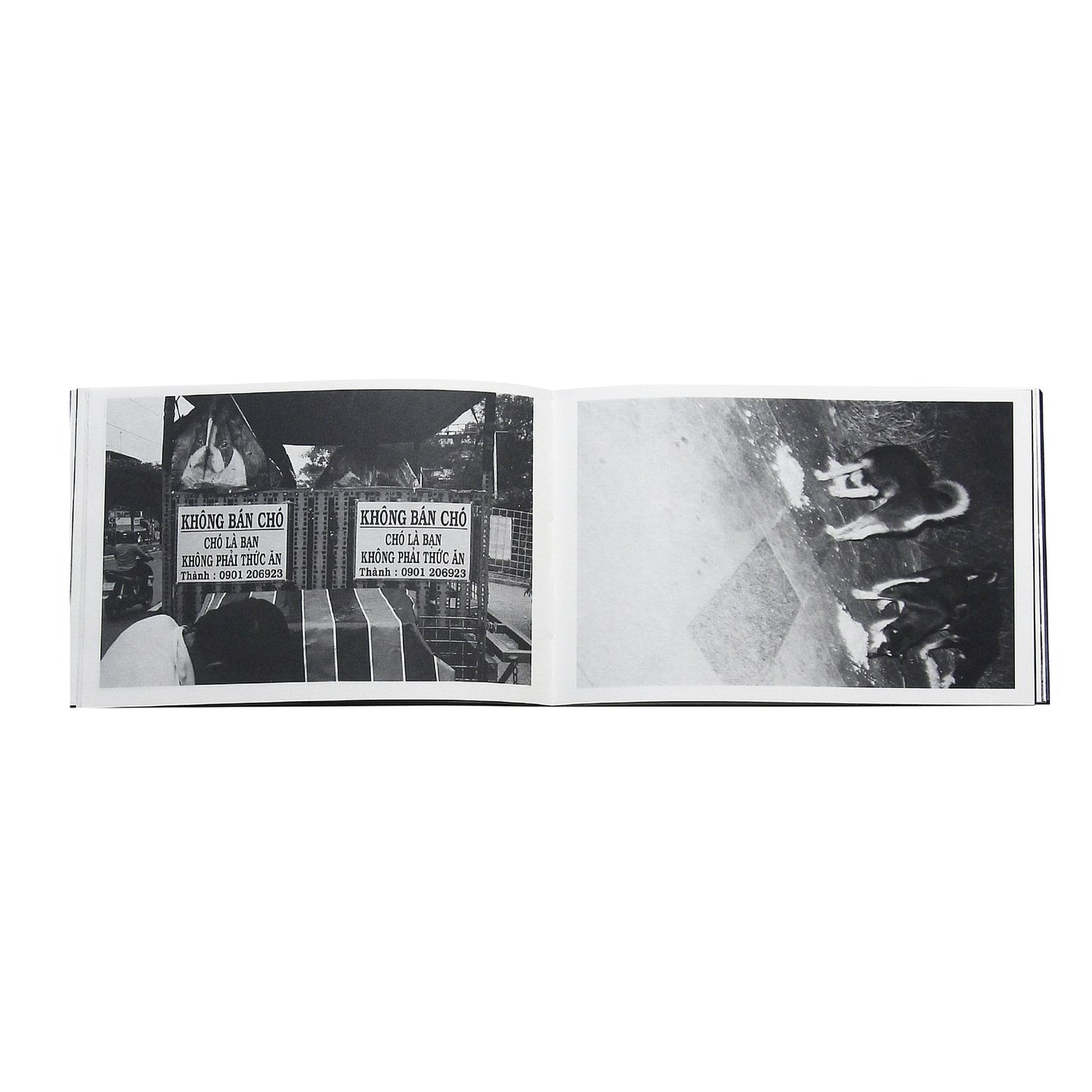 CON CHÓ PHOTOBOOK