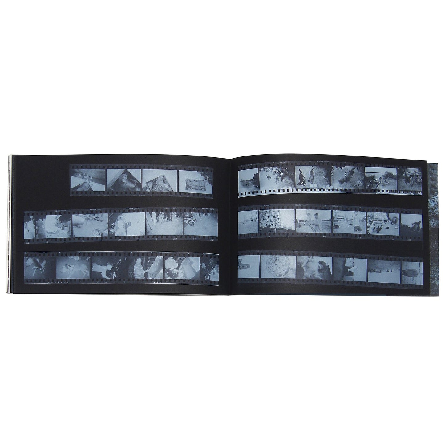 CON CHÓ PHOTOBOOK