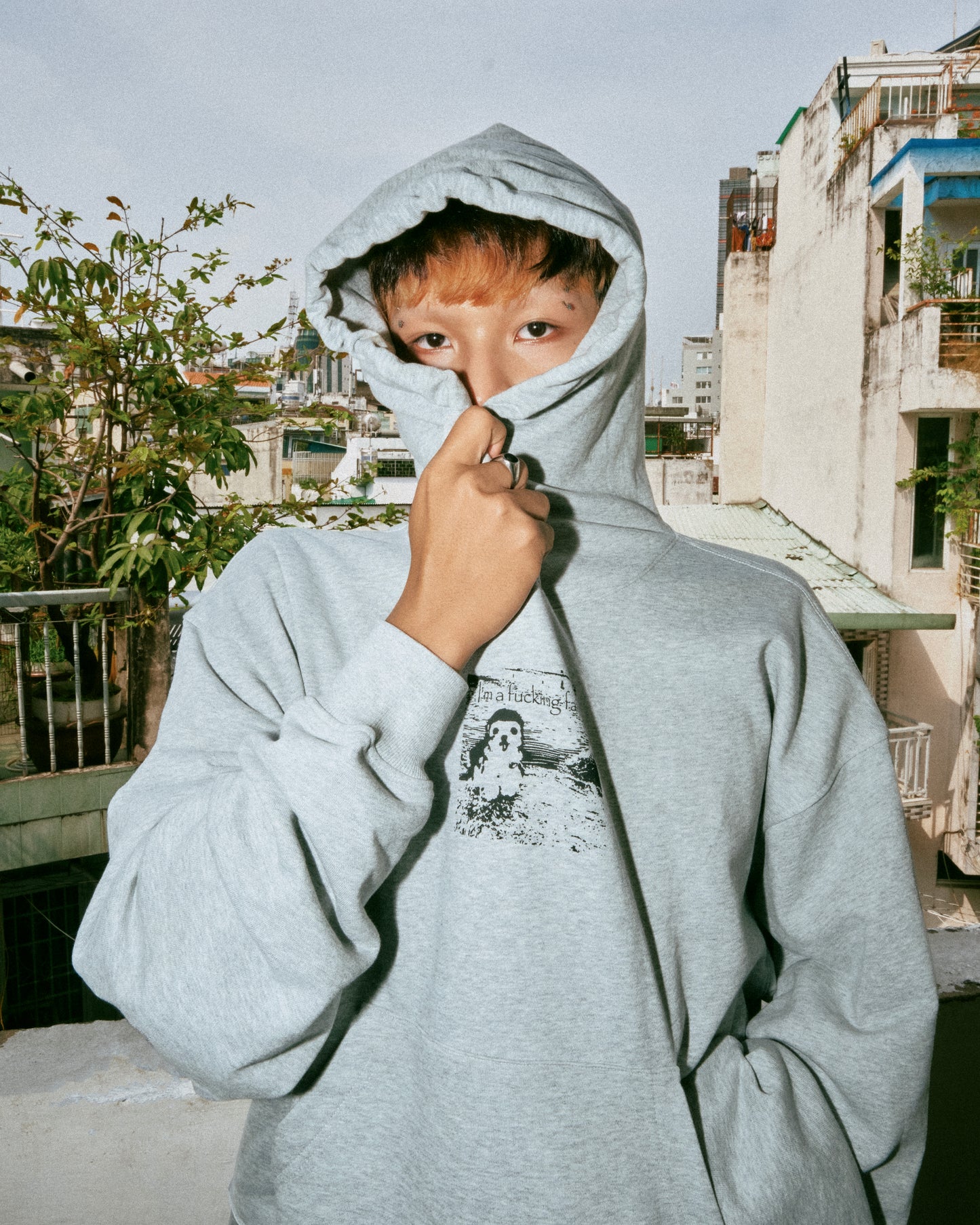gray-dog-hoodie afterparty astoud