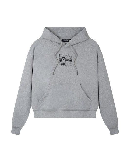 gray-dog-hoodie afterparty astoud