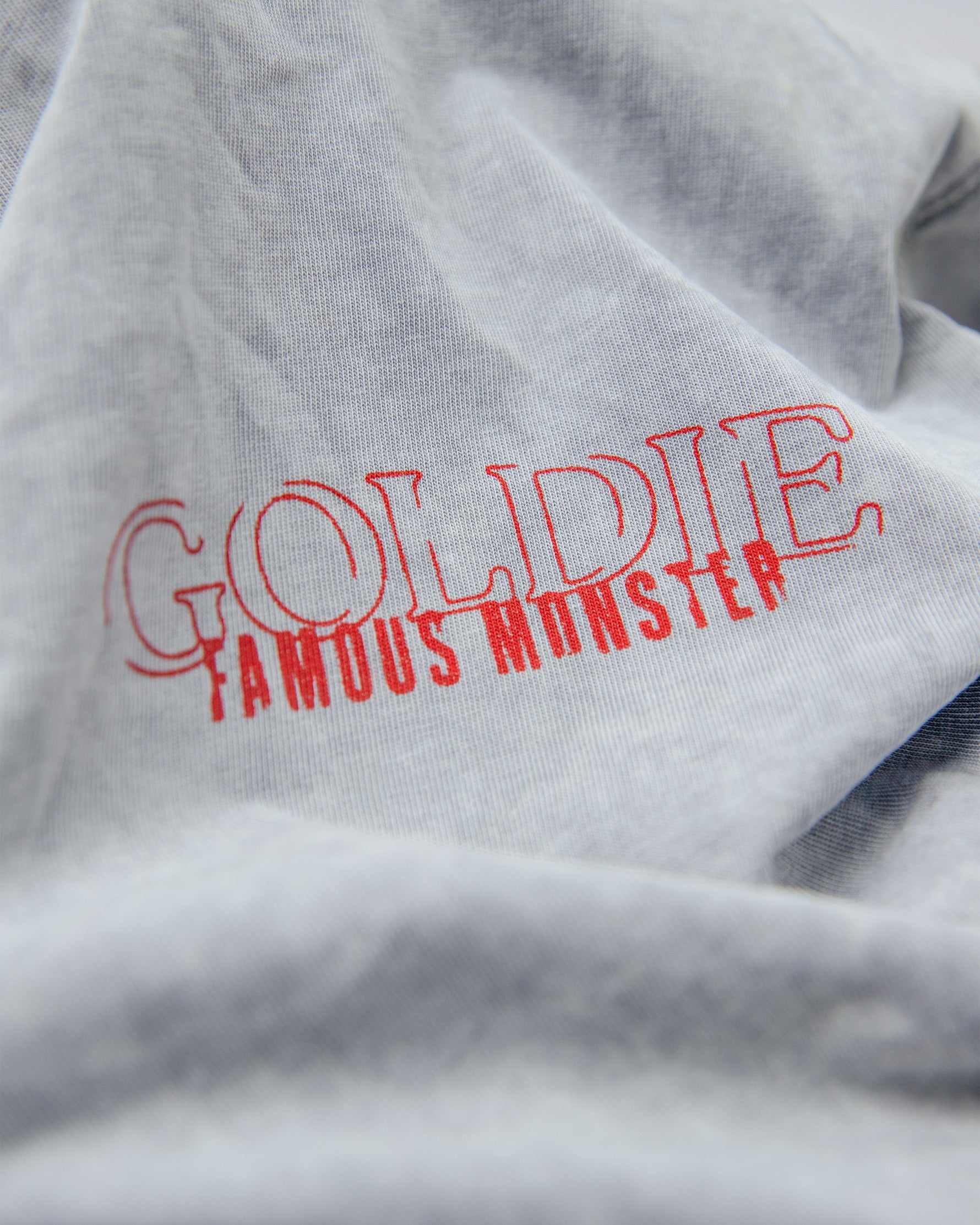 fm-washed-grey-tshirt-GOLDIE-ASTOUD