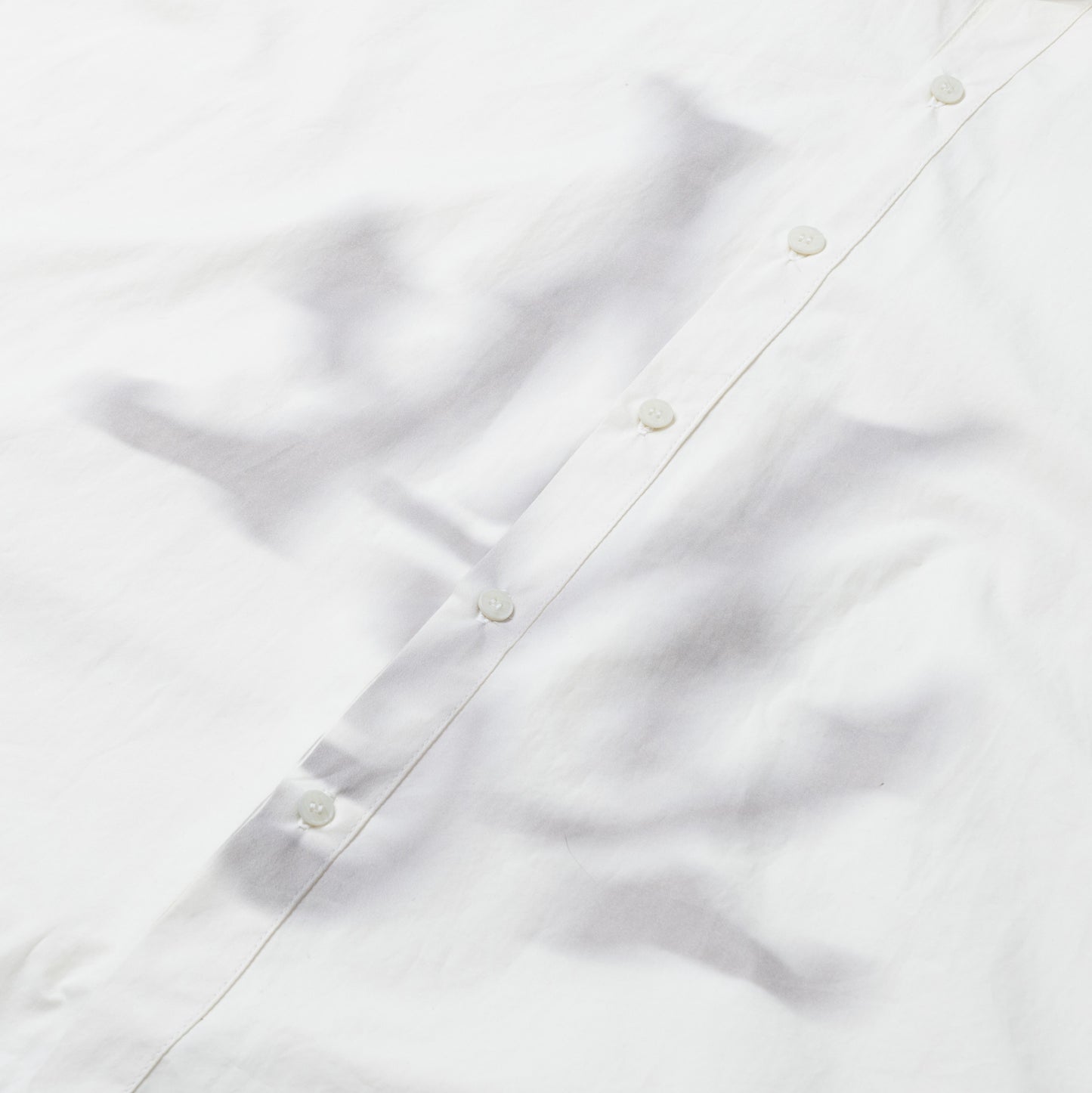 Manches longues à boutons blancs