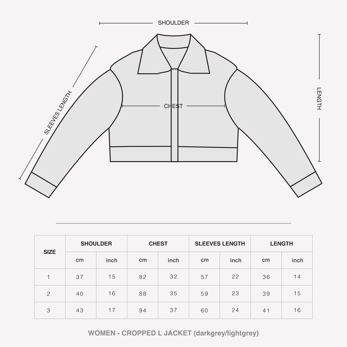 cropped-l-jacket-AESIR