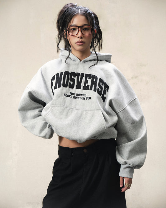 hd17-fnosverse-hoodie-gray fnos astoud