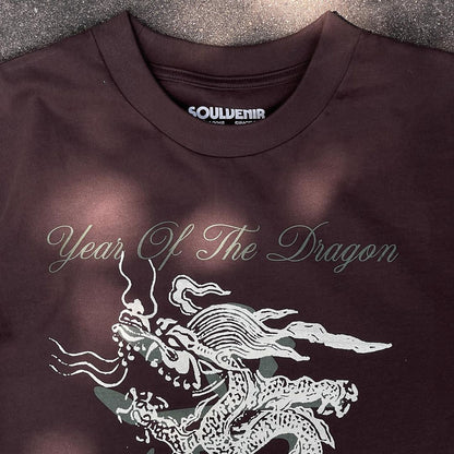 con-rong-chau-tien-t-shirt-soulvenir-astoud